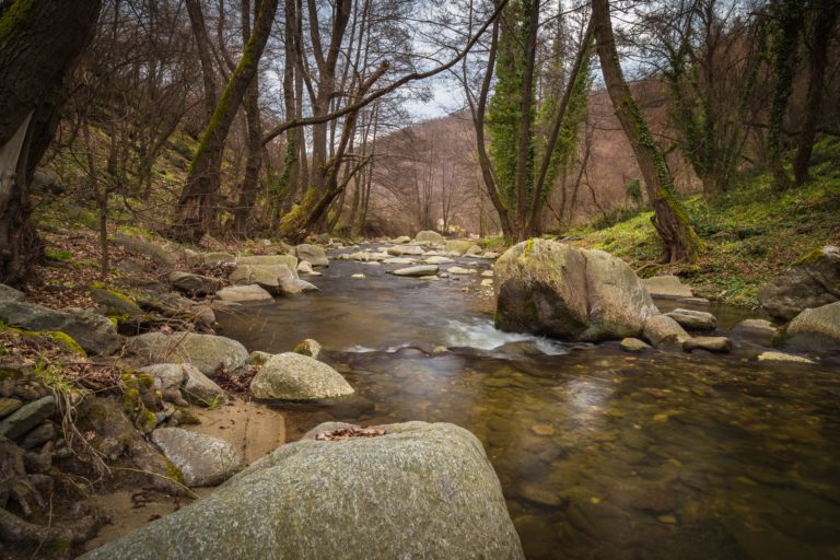 Stormwater - Creek